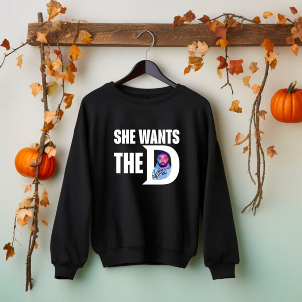 She Want The Drake Album Sweatshirt Hoodie T-shirt